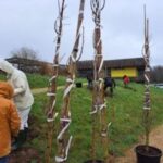 Rendez-vous du Collectif Nature et Patrimoine (CNP)