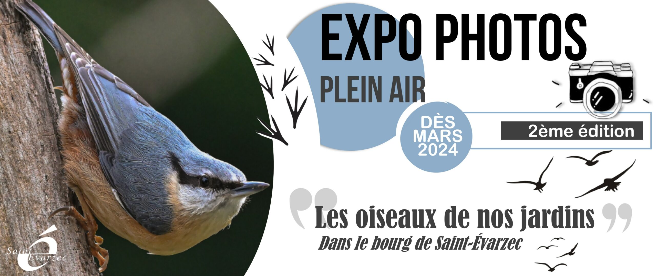 Jeux concours sur les oiseaux